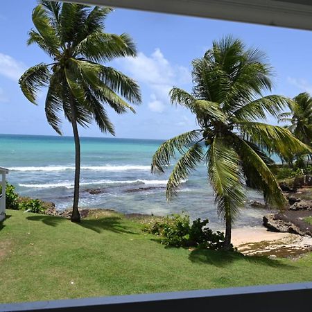 Studio Vue Sur Mer Fort D'Epee Le Gosier  Esterno foto